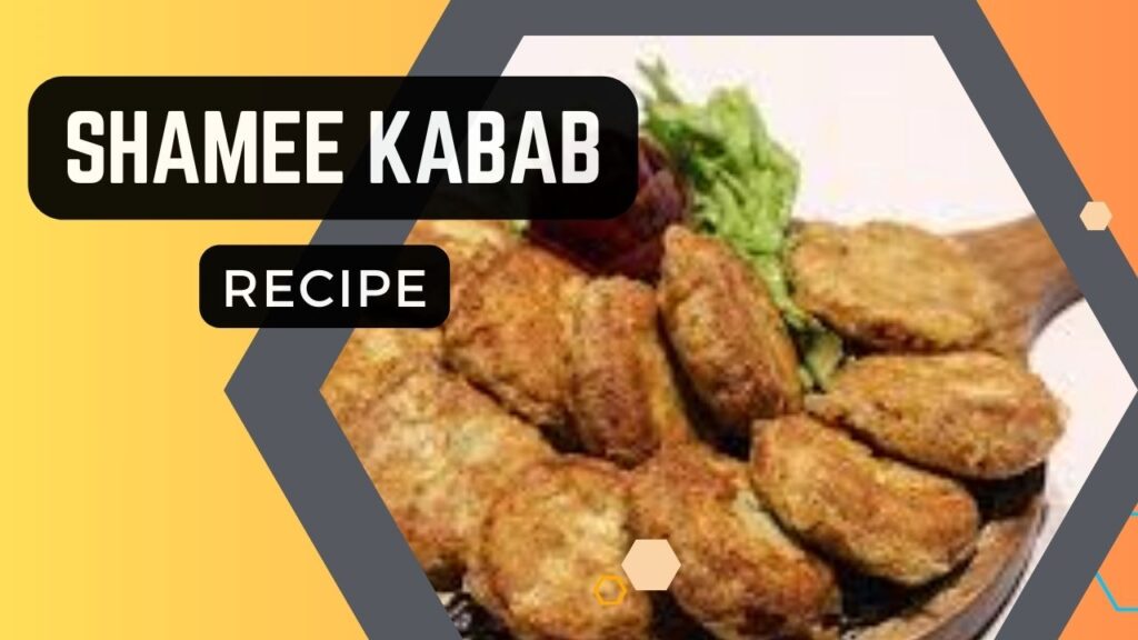 Shami Kabab Recipe